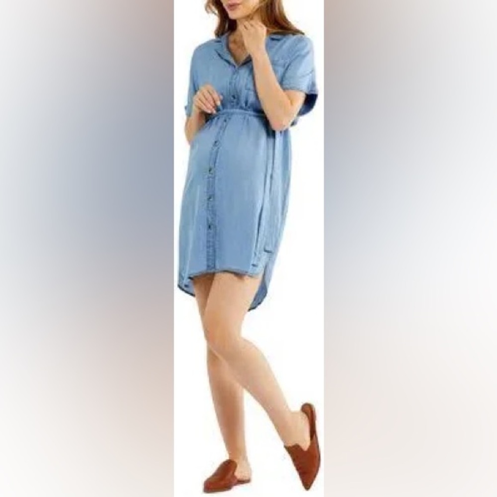 Pea in the pod Chambray dress, L